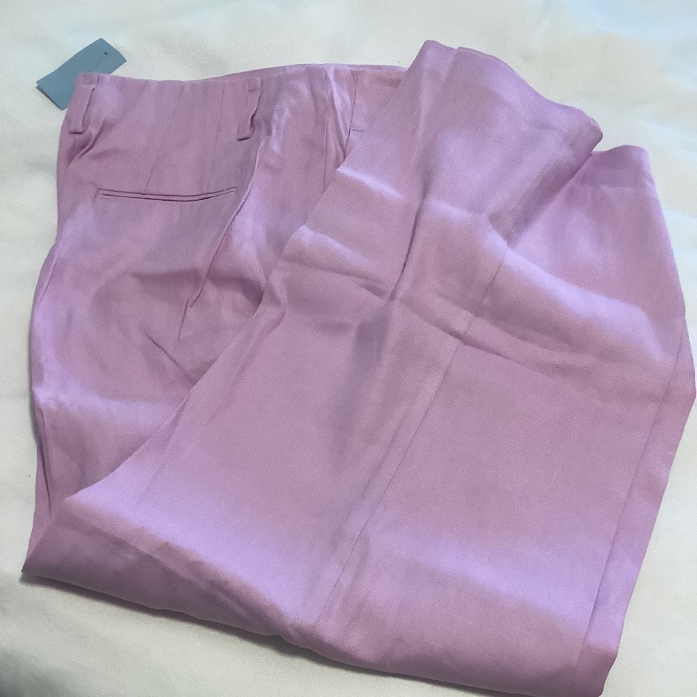 Ann Taylor S 10P Linen Pants